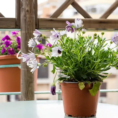 Gasthuis Torripa Group - Prati 3*