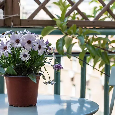 ゲストハウス Torripa Group - Prati